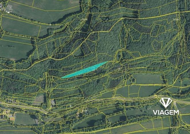 Prodej lesa, Bratřejov, 4091 m2