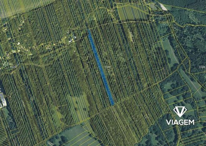 Prodej podílu lesa, Kněždub, 3060 m2