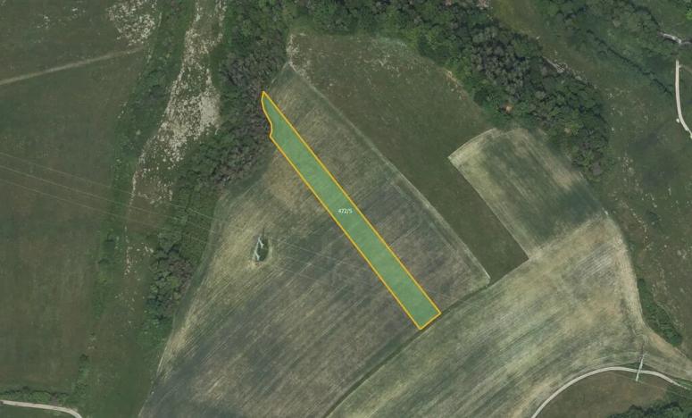 Prodej pole, Březová, 5768 m2