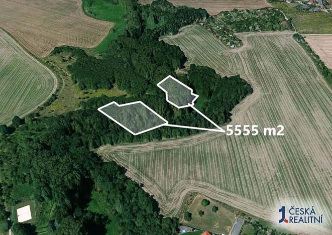 Prodej lesa, Praha, 5555 m2