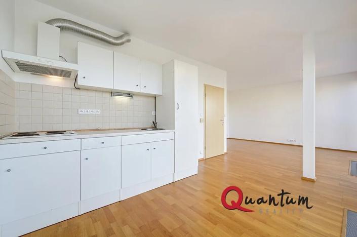 Pronájem bytu 1+kk, Praha - Žižkov, Květinková, 37 m2