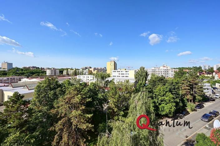Pronájem bytu 1+kk, Praha - Žižkov, Květinková, 37 m2