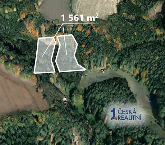 Prodej lesa, Mladějov, 1561 m2