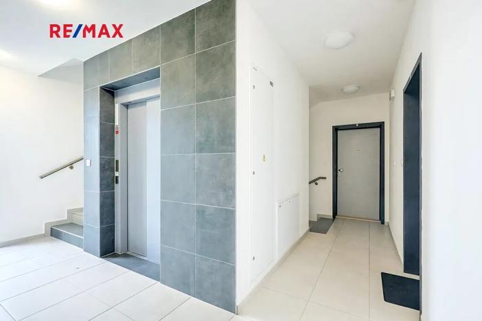 Pronájem bytu 2+kk, Plzeň, Vysoká, 51 m2