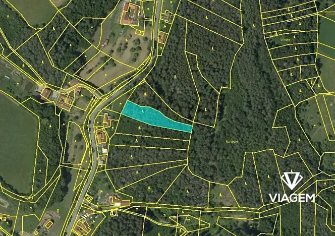 Prodej lesa, Letovice, 2436 m2