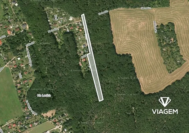 Prodej lesa, Vráž, 3233 m2