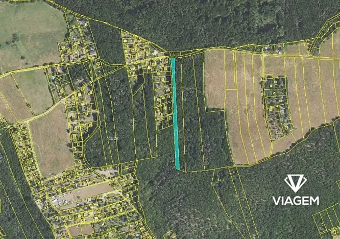 Prodej lesa, Vráž, 3233 m2