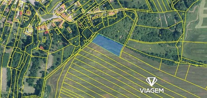 Prodej pole, Medlovice, 3019 m2