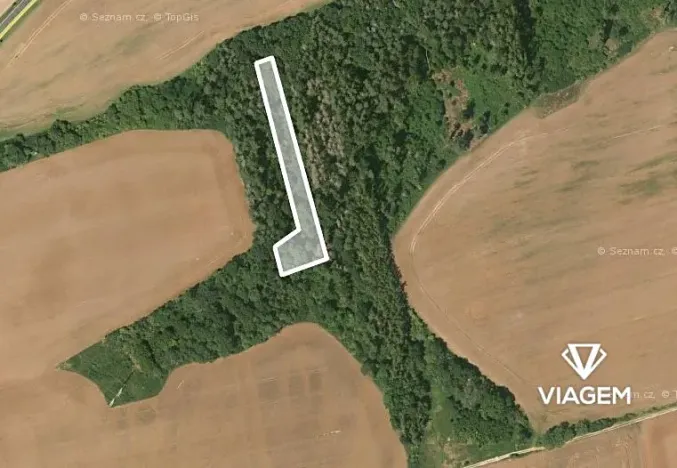 Prodej lesa, Chyňava, 3078 m2