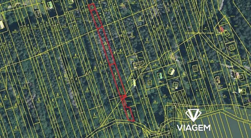 Prodej lesa, Kněždub, 1444 m2