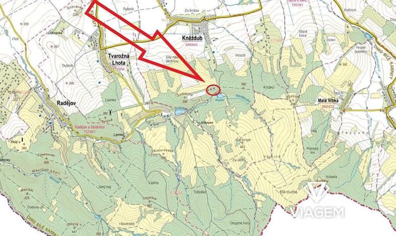 Prodej lesa, Kněždub, 1444 m2