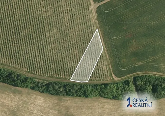 Prodej pole, Nosislav, 1580 m2