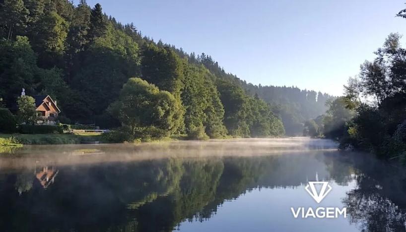 Prodej lesa, Bečice, 36578 m2