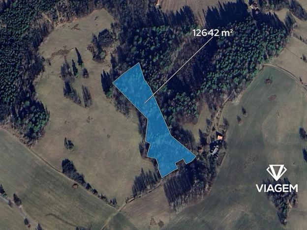 Prodej podílu lesa, Malá Bystřice, 197 m2