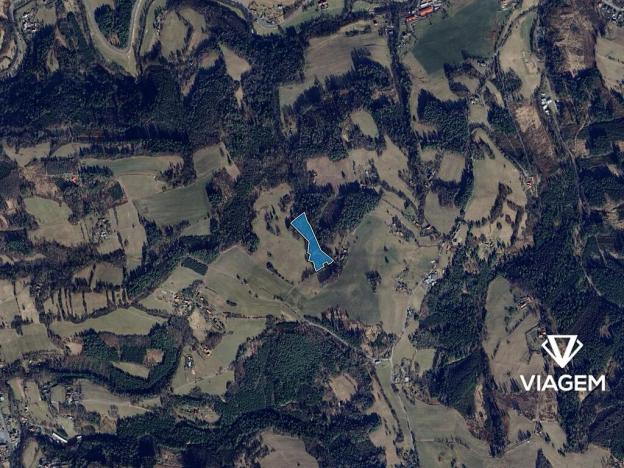 Prodej podílu lesa, Malá Bystřice, 197 m2