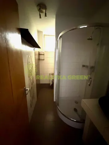 Prodej rodinného domu, Všemina, 173 m2