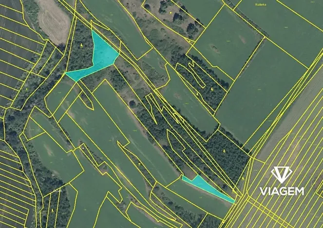 Prodej podílu pole, Černín, 1333 m2