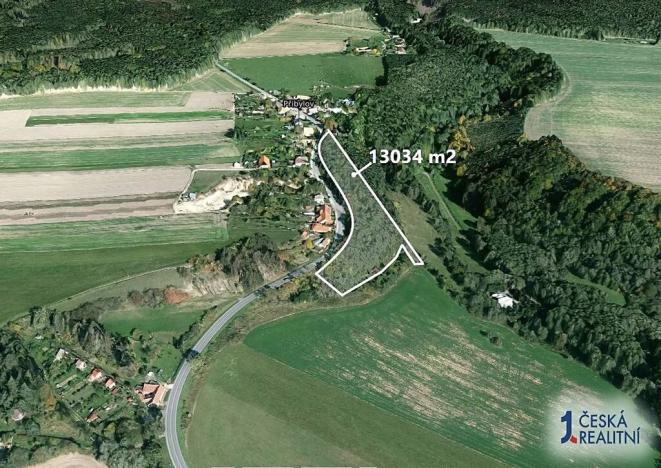 Prodej podílu lesa, Skuteč, 6517 m2