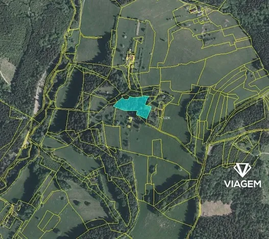 Prodej podílu lesa, Valašská Senice, 4990 m2