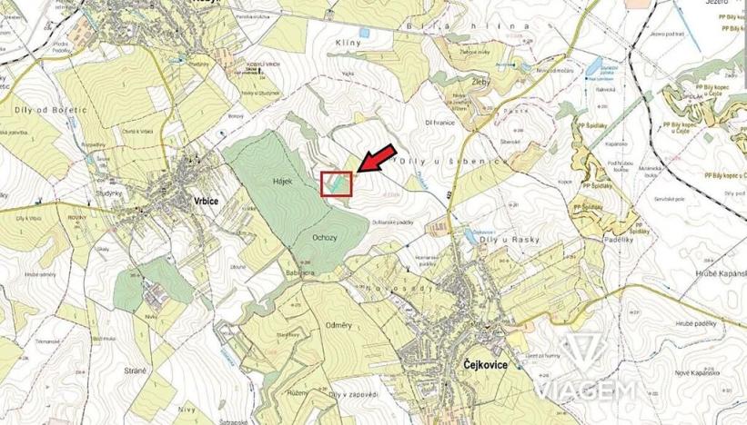 Prodej pole, Čejkovice, 3373 m2