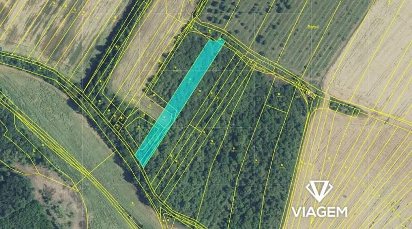 Prodej pole, Čejkovice, 3373 m2