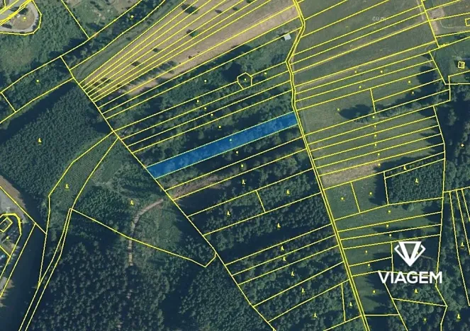 Prodej podílu lesa, Halenkov, 743 m2