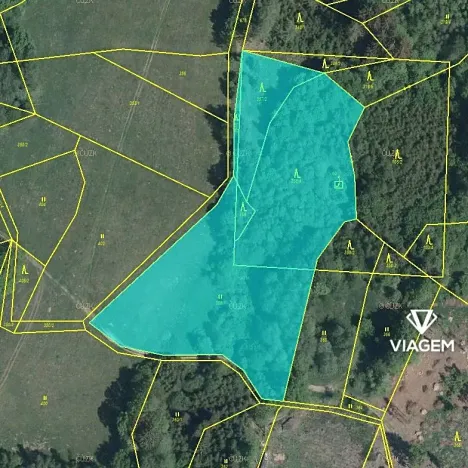 Prodej podílu lesa, Kaliště, 2503 m2