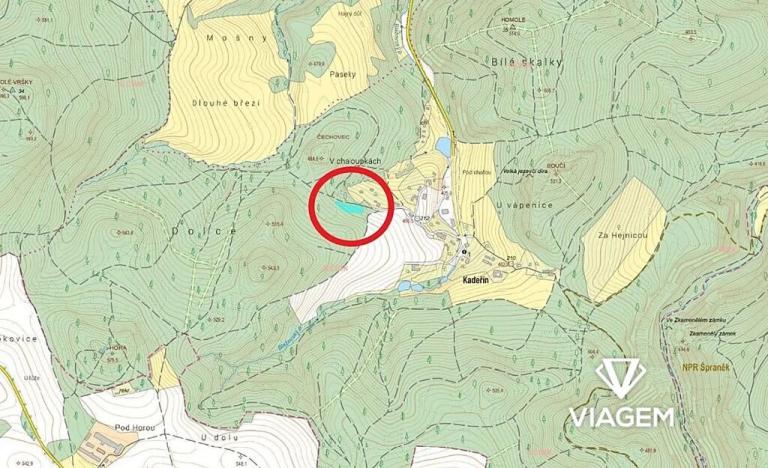 Prodej podílu lesa, Bouzov, 689 m2