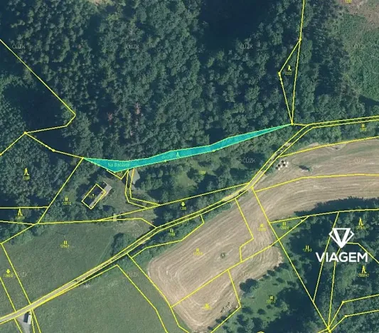 Prodej podílu lesa, Vsetín, Rokytnice, 380 m2