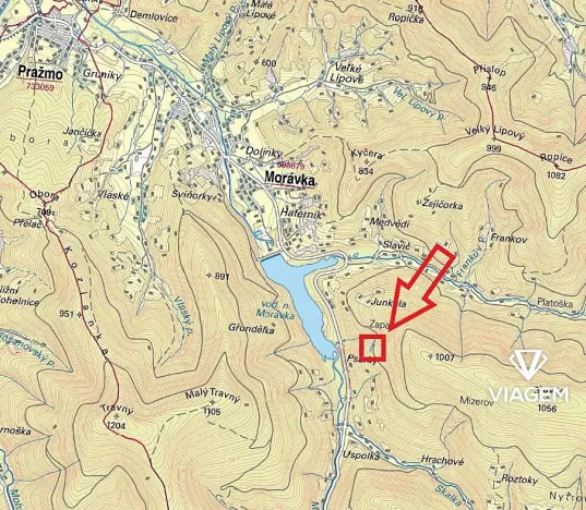 Prodej podílu lesa, Morávka, 2066 m2