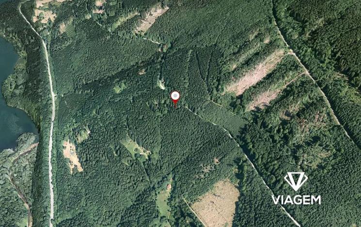 Prodej podílu lesa, Morávka, 4866 m2