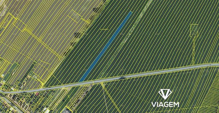 Prodej podílu pole, Hrušky, 534 m2