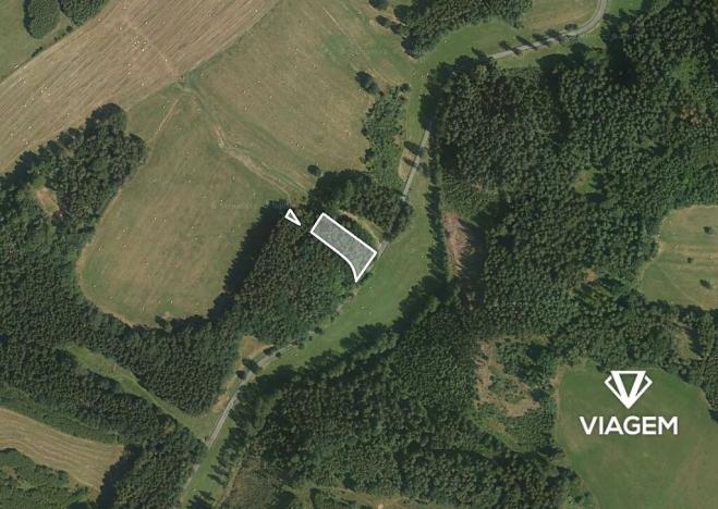 Prodej podílu lesa, Dubnice, 352 m2