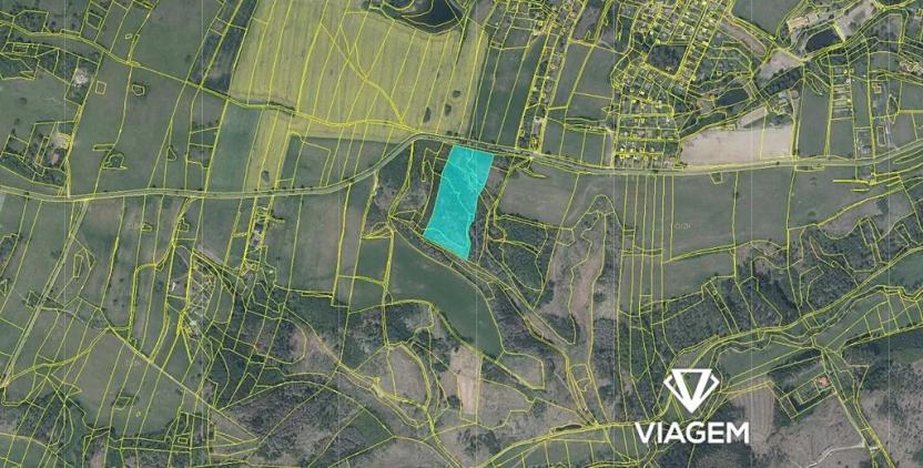 Prodej lesa, Velké Meziříčí, 18631 m2