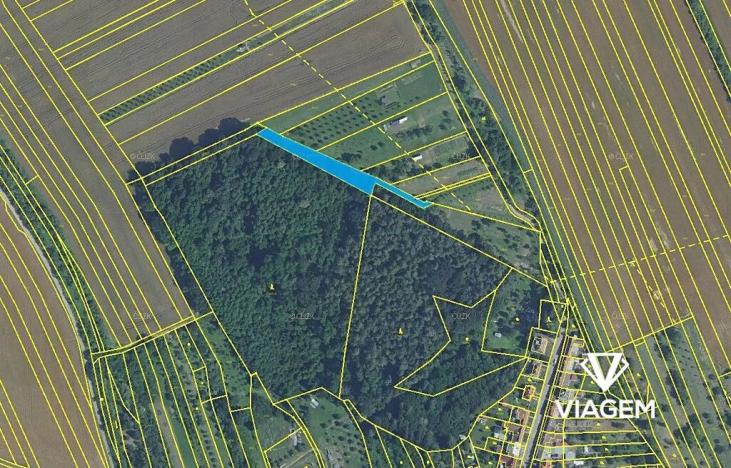 Prodej podílu lesa, Březolupy, 446 m2