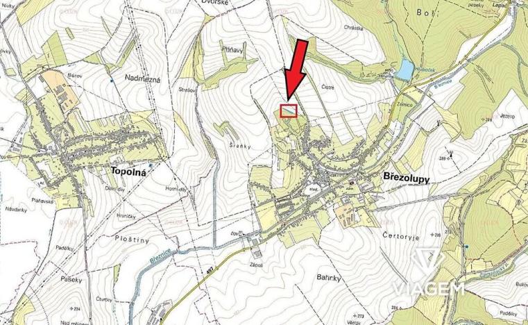 Prodej podílu lesa, Březolupy, 446 m2