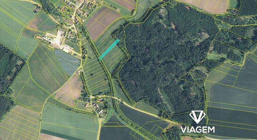 Prodej podílu pole, Lužany, 101 m2