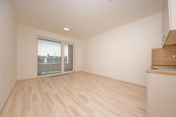 Pronájem bytu 1+kk, Praha - Michle, Krnkova, 33 m2