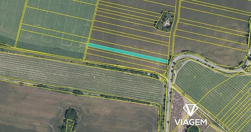 Prodej podílu pole, Sokolnice, 658 m2