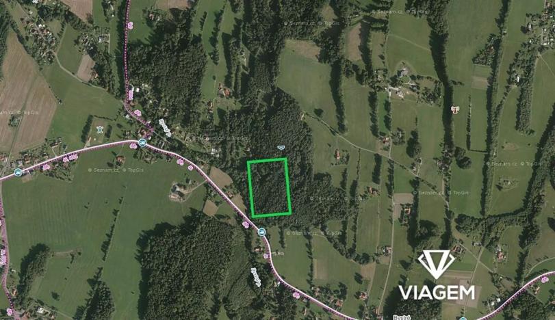 Prodej podílu lesa, Janovice, 1420 m2