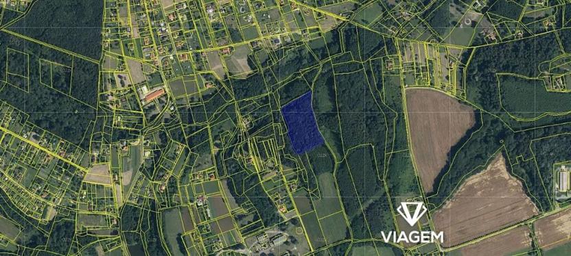 Prodej podílu lesa, Doubrava, 1081 m2