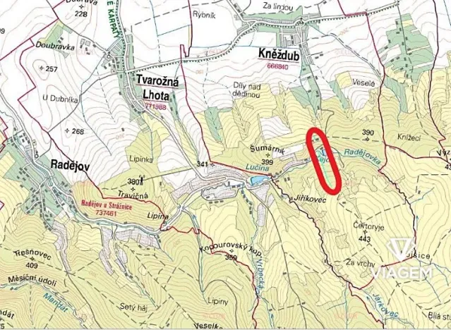 Prodej podílu lesa, Kněždub, 2335 m2