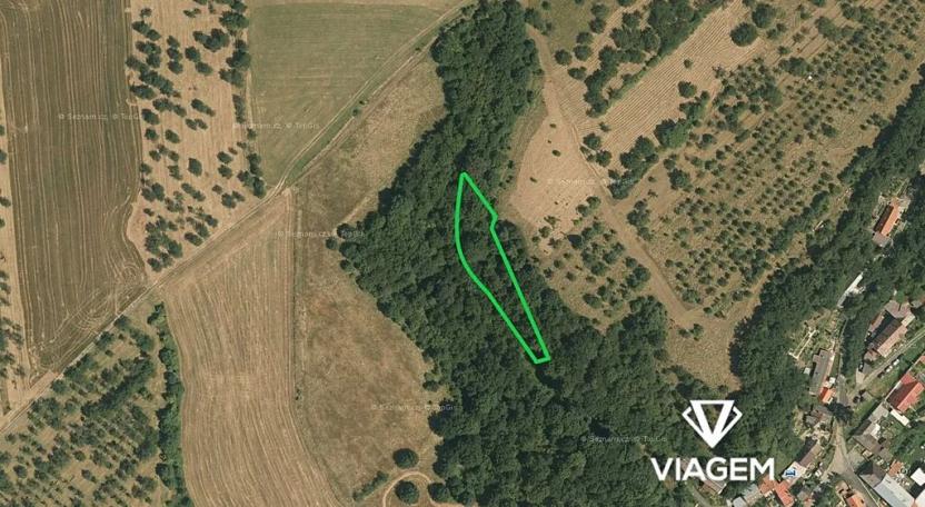 Prodej podílu pole, Veselíčko, 510 m2