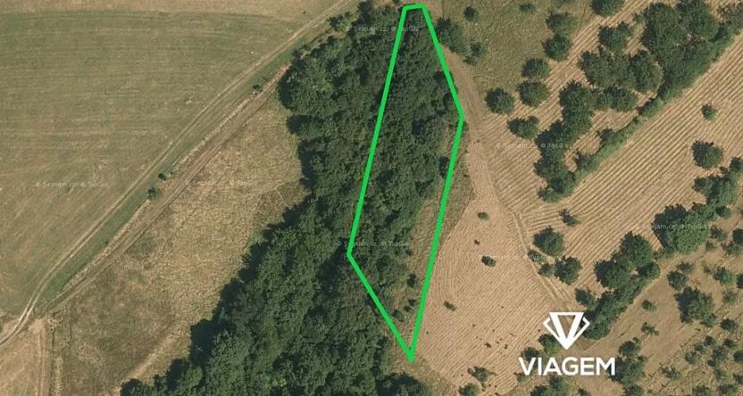 Prodej podílu pole, Veselíčko, 682 m2