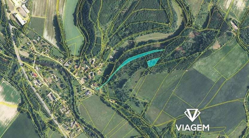 Prodej podílu lesa, Heřmanice, 2140 m2