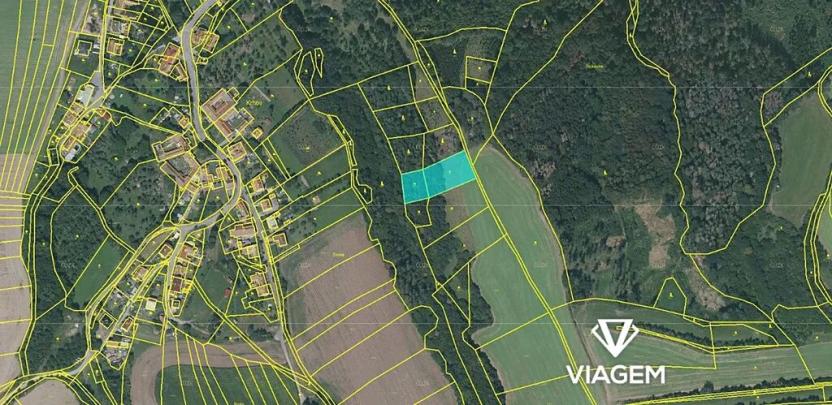 Prodej lesa, Krhov, 3039 m2