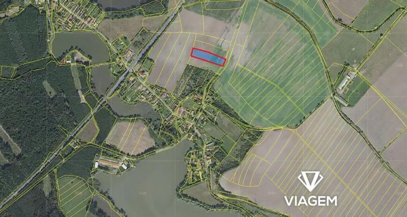 Prodej pole, Chotěšice, 5881 m2