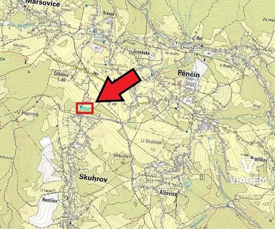 Prodej podílu lesa, Skuhrov, 1301 m2