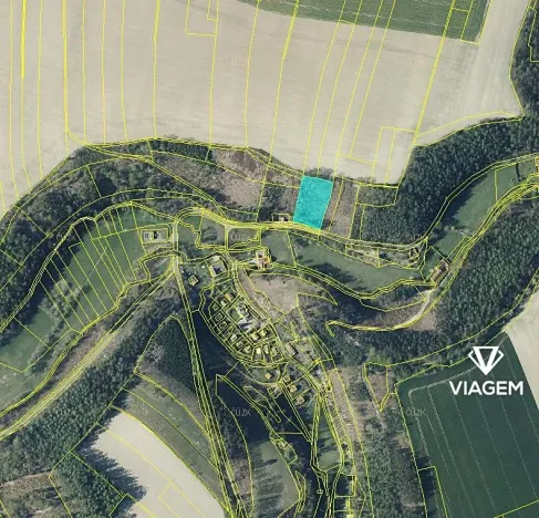 Prodej lesa, Nové Hrady, 3866 m2