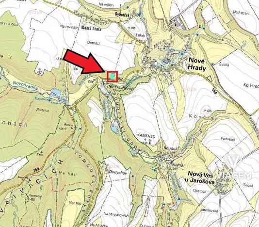 Prodej lesa, Nové Hrady, 3866 m2